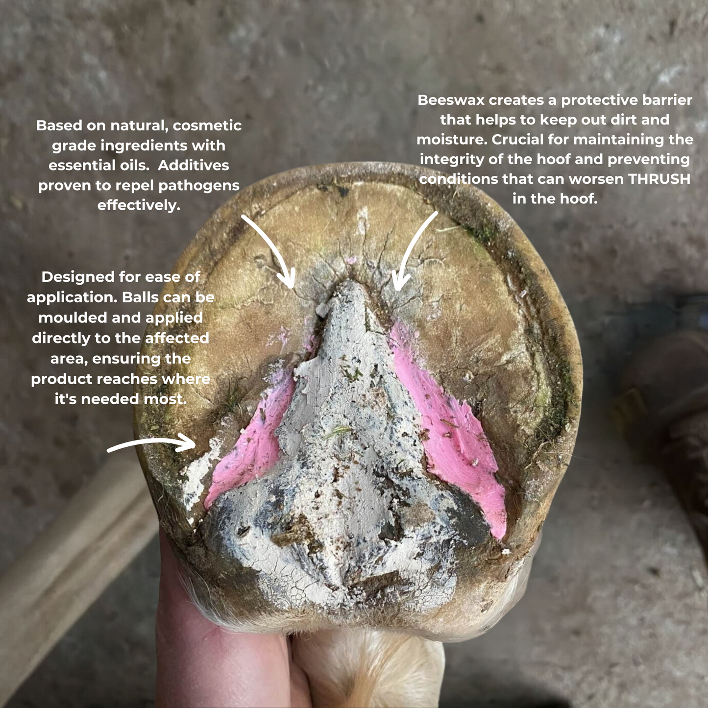 Beeswax PINK Balls - Hoof Putty for Thrush management
