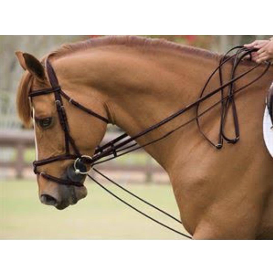 Eureka - Draw Reins Webbing - Brown