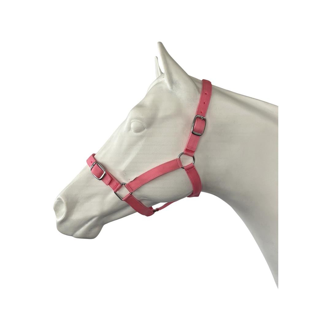 EUREKA – BUCKLE HALTER