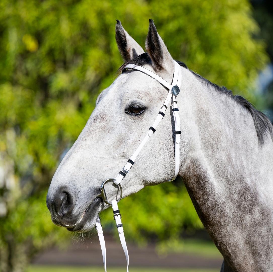 EquestPRO PVC Bridle