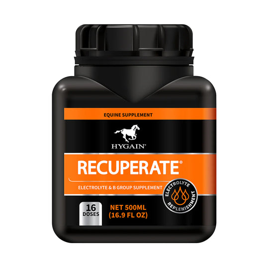 RECUPERATE 500ML