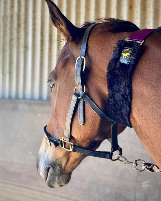 EQUISTITCH WINDSUCKING COLLAR