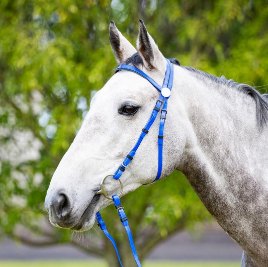 EquestPRO PVC Bridle