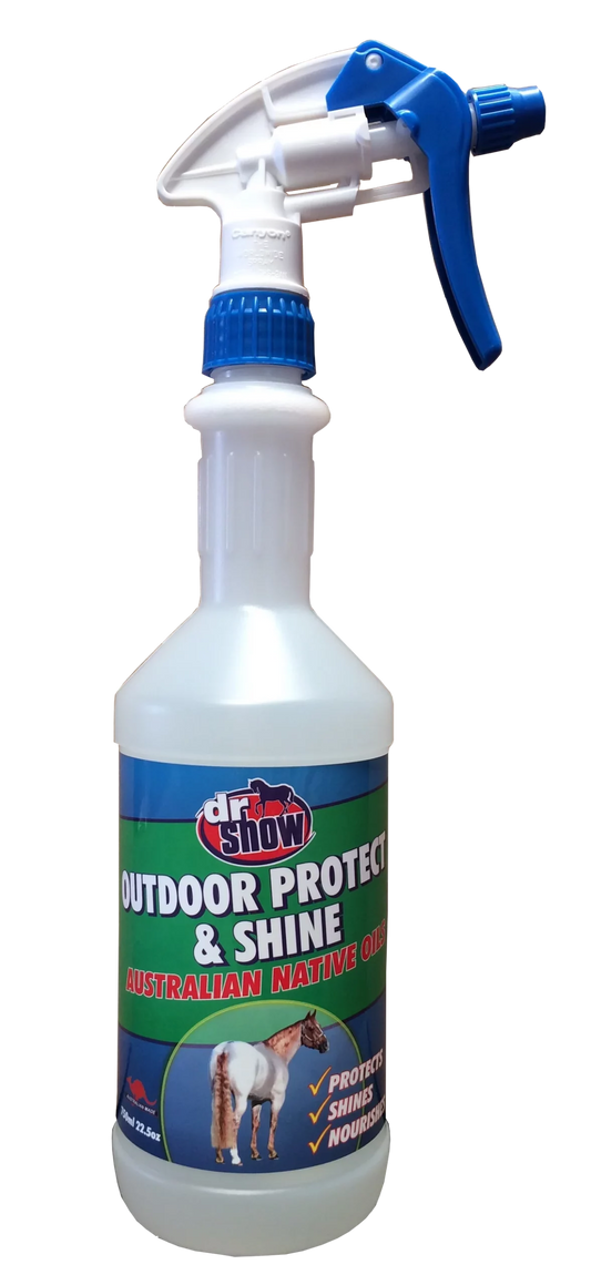 Dr Show Outdoor Protect and Shine 750ml