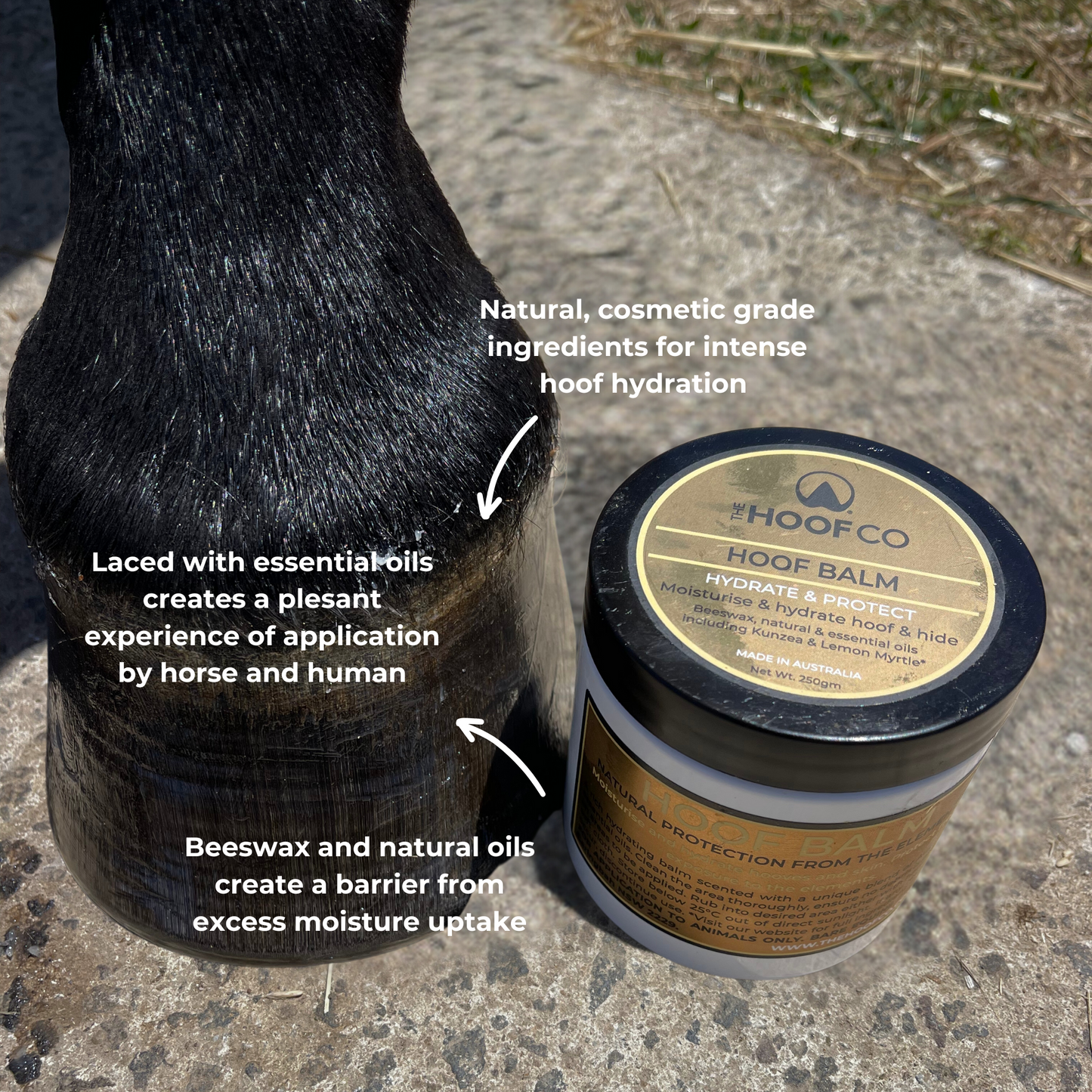 Hoof Balm- Lube those hooves