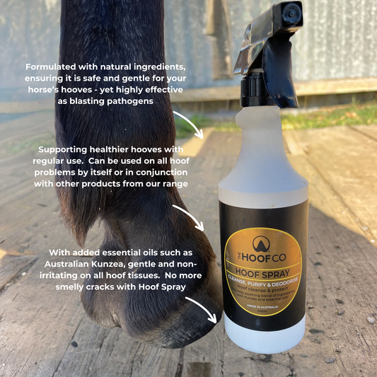 Hoof Spray - 500ml with Kunzea Oil