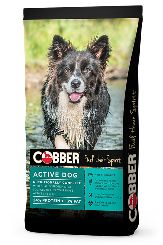 COBBER COUNTRY ACTIVE DOG