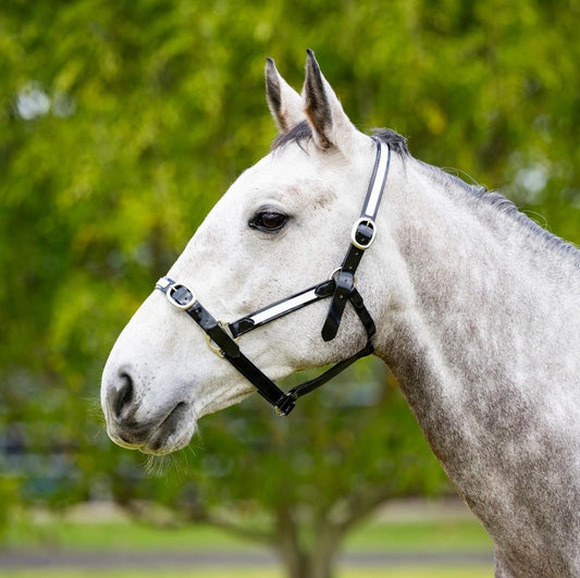 EquestPRO PVC Overlay Halter Black