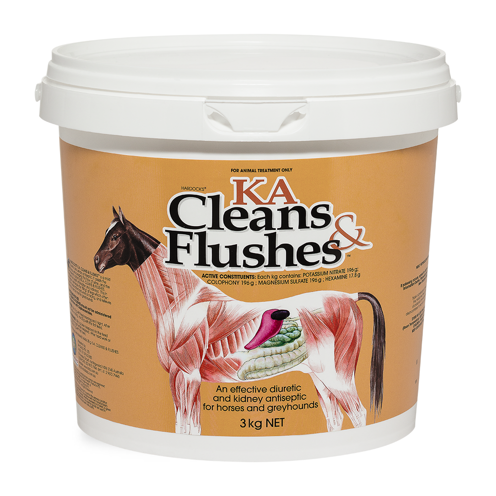 KA Clean and Flushes