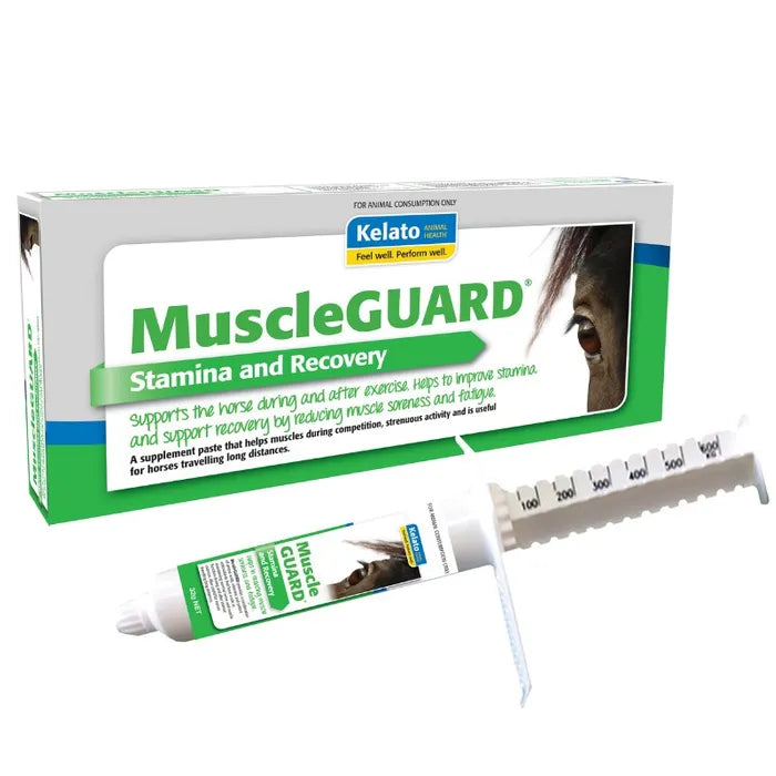 KELATO MUSCLEGUARD – Mbhorsesupplies
