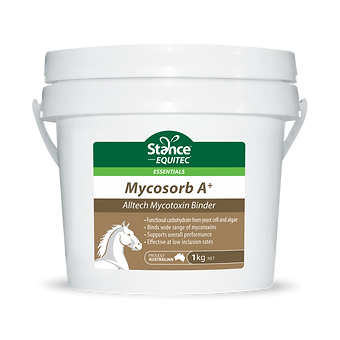 Stance Mycosorb A+ 2 KG