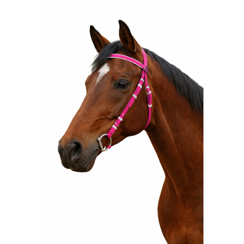 PVC EXERCISE BRIDLE&nbsp;