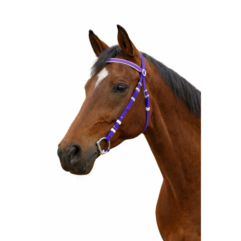 PVC EXERCISE BRIDLE&nbsp;
