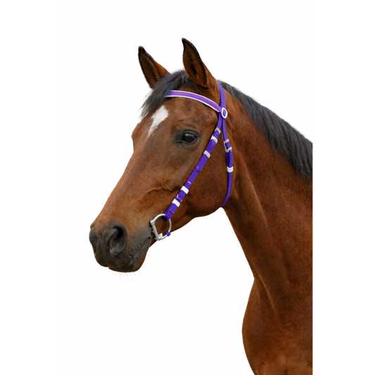 PVC EXERCISE BRIDLE&nbsp;