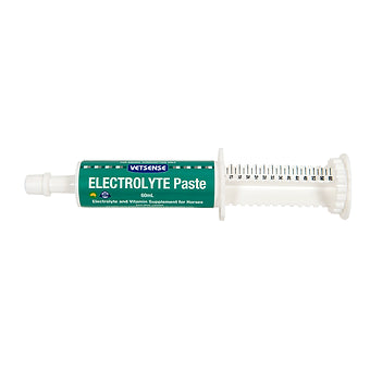 Vetsense Electrolyte Paste